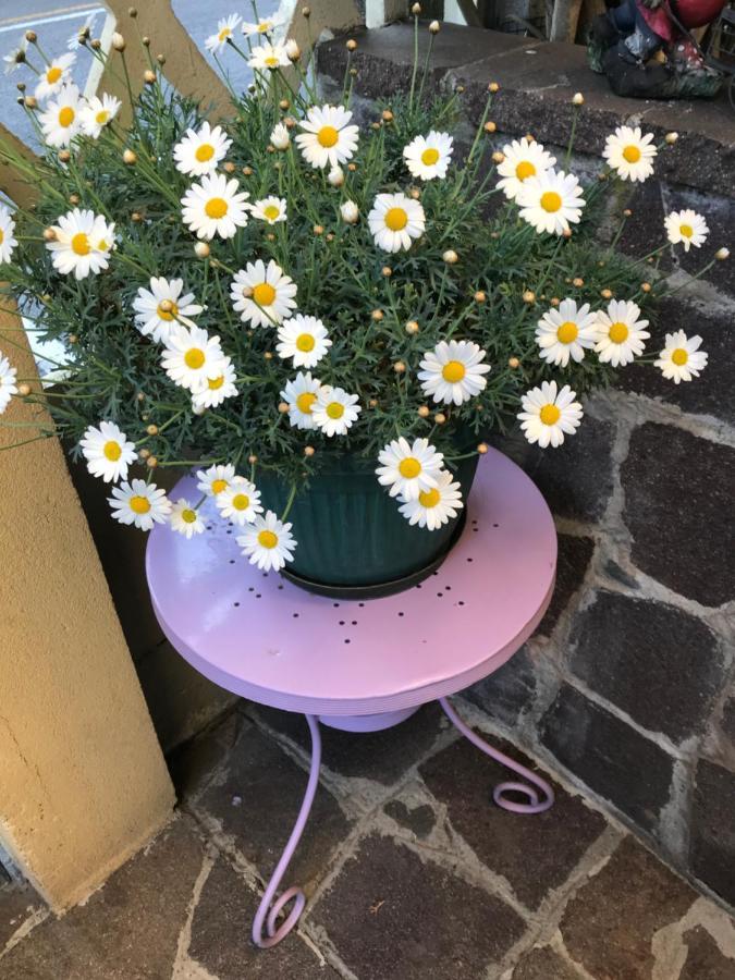 La S'Volta Vanzago Bed And Breakfast 외부 사진
