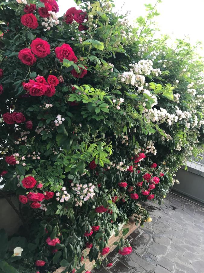 La S'Volta Vanzago Bed And Breakfast 외부 사진